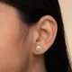 GOLD__Shreepati