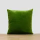 Moss Green__KNILOT