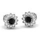 Black__Akshat Sapphire