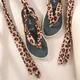 Leopard__Fresh1947feet
