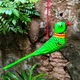 Green__Craftooba