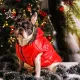 Red__DogsMart