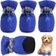 Blue__DogsMart