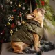 Sea Green__DogsMart