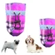 Brinjal__DogsMart