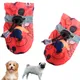 Red Mickey__DogsMart