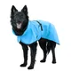 Blue Blaze__DogsMart