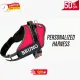 Red__DogsMart