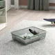 Light Green-Grey__Allyourneeds