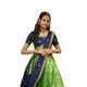 Parrot Green__SHREEJI SALES