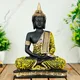 Yellow Black__Gifteshwar