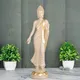 Stone White__Gifteshwar