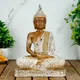 White Brown__Gifteshwar