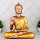 Yellow Golden__Gifteshwar