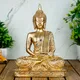 Golden 1__Gifteshwar