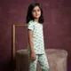Mint Green__SUSTEY