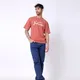 Terracotta__Zedvik