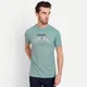 Dusty Green__MEGHZ
