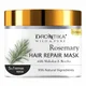 Korean Rosemary__Drontika 