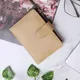 Beige__Amazeshoppers