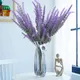 Purple__Litverse