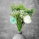 Green-White__Litverse