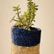 Multicolor__AURA NEST
