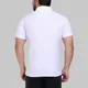Multicolor__AZF