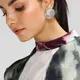 Silver__Shrishtvi
