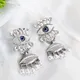 Silver__Shrishtvi