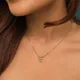 Taurus__HAMESA