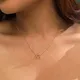 Libra__HAMESA
