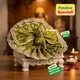 4-10 Green__Divine Vastra