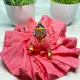 Rose Pink__Divine vastra