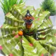 Olive Green__Divine vastra