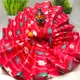 Red__Divine vastra