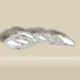 Silver__GAHNEMALL INTERNET LLP
