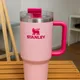 Flamingo Pink__Trendywendy