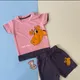 PINK & GREY__6E BABY