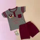 BROWN & REDDISH MAROON__6E BABY