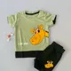 PASTEL GREEN & DARK GREEN__6E BABY