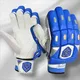 Blue__DS SPORTS