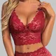 Maroon__Erotic Urban
