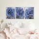 Canvas With Frame__DEKOZI