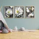 Photo Paper With Frame__DEKOZI
