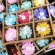 Pack of 6__Bitona