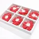Set of 6__Bitona