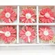 Set of 6__Bitona