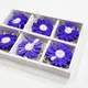 Set of 6__Bitona