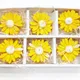 Set of 6__Bitona